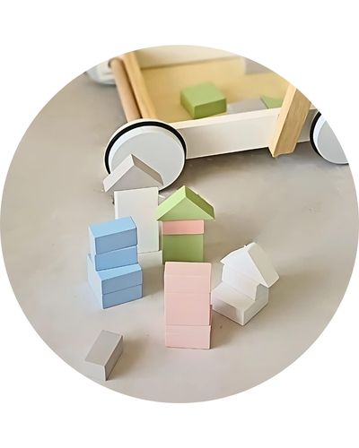 Chariot de marche et blocs de construction | Motricité pour les 1-3 ans