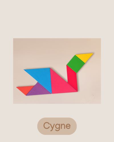 Jeux Puzzle Tangram en bois - Jeux Montessori 4 ans et jusqu'à 8 ans pour enfant