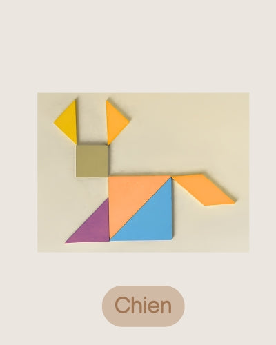 Jeux Puzzle Tangram en bois - Jeux Montessori 4 ans et jusqu'à 8 ans pour enfant