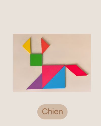 Jeux Puzzle Tangram en bois - Jeux Montessori 4 ans et plus pour enfant