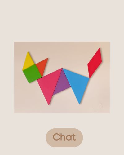 Jeux Puzzle Tangram en bois - Jeux Montessori 4 ans et plus pour enfant